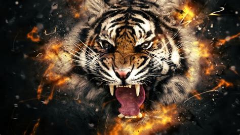 Cool pictures, free stock photos, cool pictures, cool stylish pictures, cool background, cool pictures of people, cool. tiger head fire wallpaper download hd collection | Tiger ...