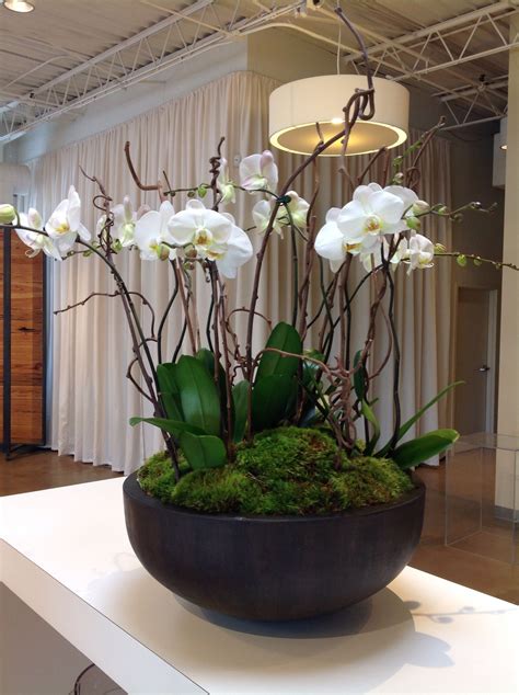Incredible Indoor Plants Arrangement Ideas Basic Idea Home Decorating
