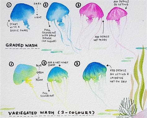 Tutorial Watercolor Art Lessons Watercolor Jellyfish Learn Art