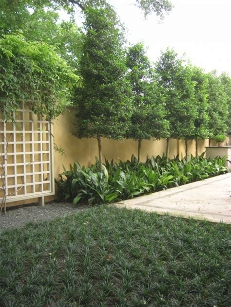 Why not plant a privacy screen of shrubs that you can cook with? 25 Best of Outdoor Privacy Plants