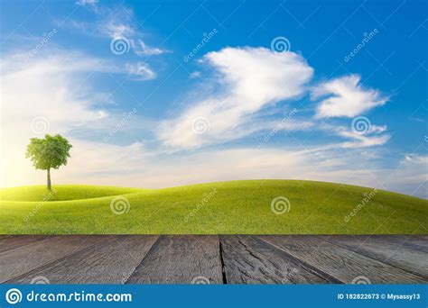 Old Wooden Floor Beside Green Field On Slope And Tree With Blue Sky And