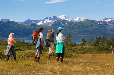 hiking prince william sound photos by ron niebrugge