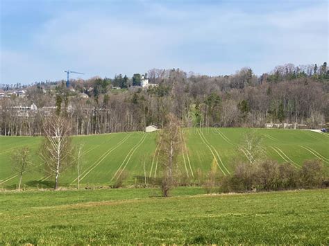 Typical Natural Landscape During Early Spring On Hills And Pastures