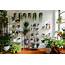 Keep Indoor Plants Alive With These Non Basic Tips  Architectural