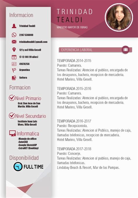 It can be easily personalized for whichever industry you are applying for. Diseno De Curriculum Vitae Profesional