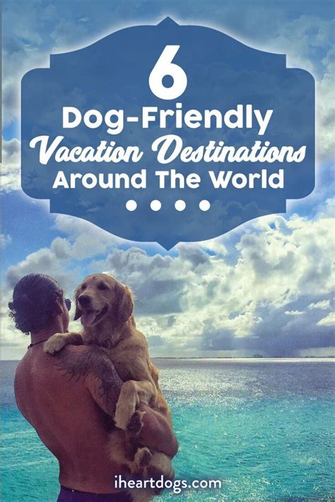6 Dog Friendly Vacation Destinations Around The World Dog Friendly