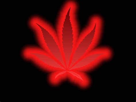 Pot Leaf Live Posted By Samantha Simpson Neon Weed Hd Wallpaper Pxfuel