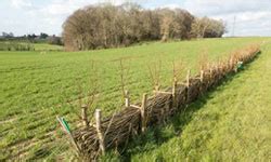 Lutte contre l'érosion des sols - Chambres d'agriculture Normandie