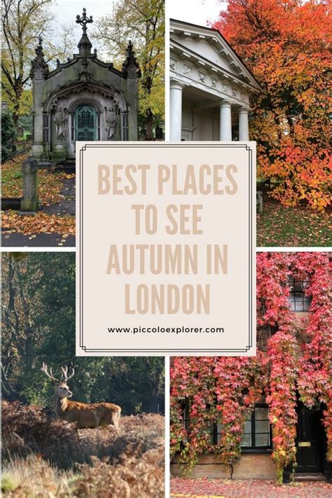 Fall Foliage London Best Places To See Autumn Colours In London