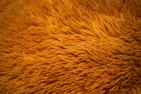726 Texture Fur Teddy Bear Stock Photos Free And Royalty Free Stock