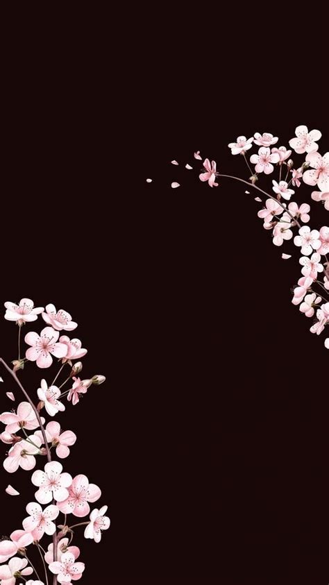 Pink And White Flowers On A Black Background