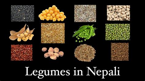 Legume Names In Nepali Learn Legumes Names In English And Nepali