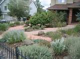 Landscaping Xeriscape Images