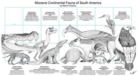 Miocene Fauna Of South America Prehistoric Animals South America