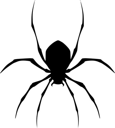Black Spider Png Free Logo Image
