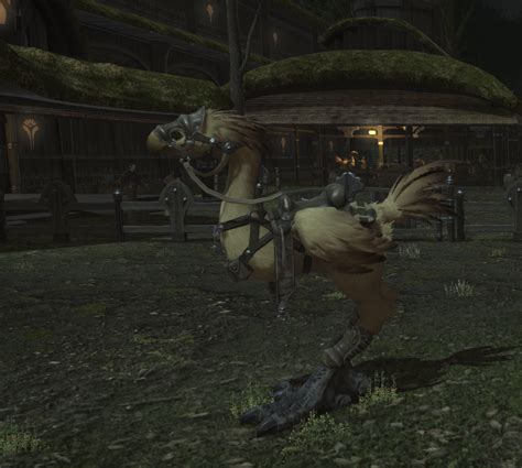 How To Get Your First Chocobo Mount And Companion In Ffxiv Final
