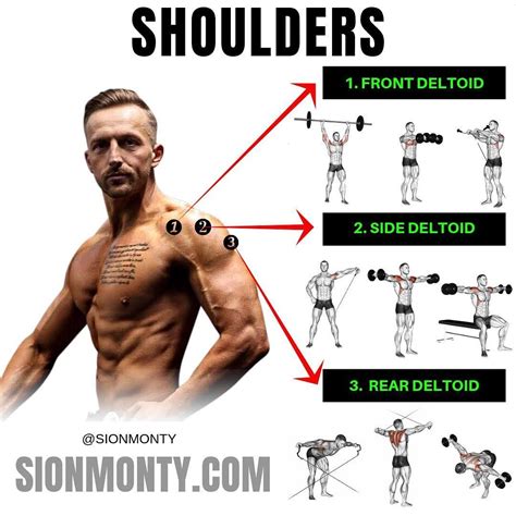 7 Muscle Building Shoulder Exercises To Build Strong 3d Shoulders Shoulder