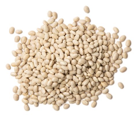 The beans are about 1 cm (1/2 inch) long nebraska is the largest producer of great northern beans in the united states, as of 2015. Hurst's Navy HamBeens® | Hurst Beans