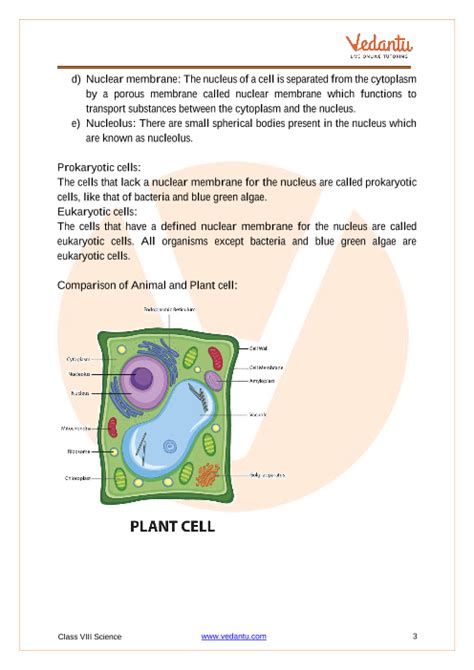 Chapter Cell Structure And Function Eukaryotic Cell Structure Hot Sex Picture