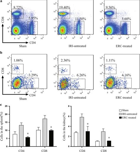 Ercs Suppress Cd4 And Cd8 T Cell Populations In The Spleen And