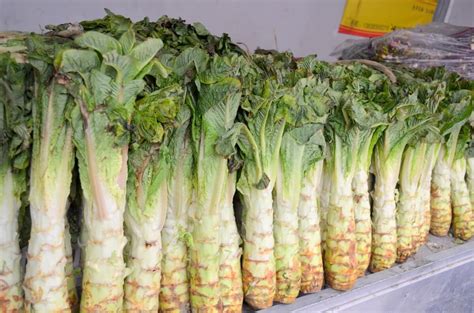 Chinese Lettuce Celtuce My Chinese Home Kitchen