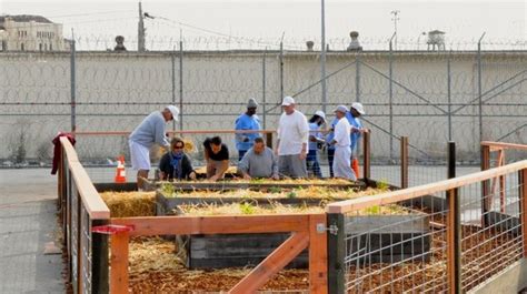 Prison Gardens Help Inmates Grow Their Own Food — And Skills Kqed