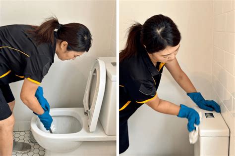 how to clean a toilet maid2match