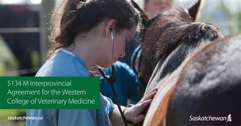 Funding Agreement Reached For Western College Of Veterinary Medicine