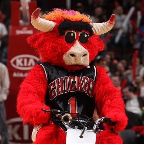 Chicagos Benny The Bull Learnist