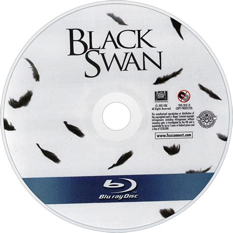 Black Swan Picture Image Abyss
