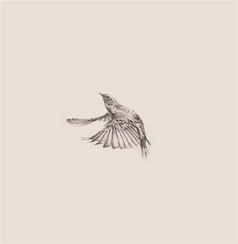 flying bird no 2 by jon voss buy art online rise art