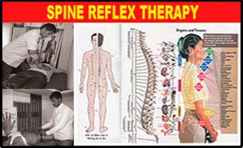 Spine Reflex Therapy