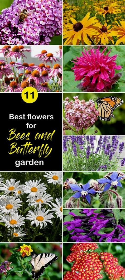 Planting flowers that attract butterflies, hummingbirds, and other pollinators are a beautiful and lasting way to enjoy nature. Best flowers for Bees and Butterfly Garden Best flowers to ...