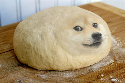 Baking Doge Doge Meme Funny Animal Memes Doge