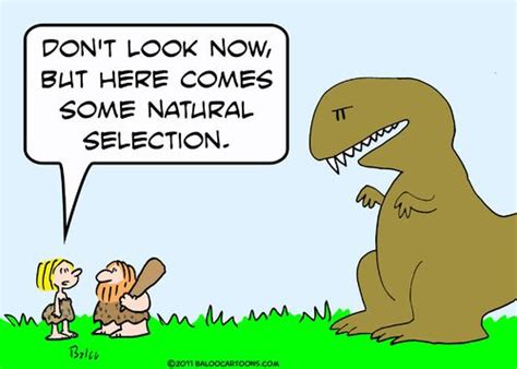 caveman natural selection by rmay nature cartoon toonpool science humor caveman cartoon