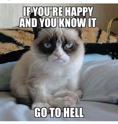 Pin By Kathy B On Grumpy Cat Funny Friday Memes Funny Cat Memes