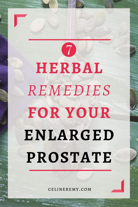 7 Herbal Remedies For Your Enlarged Prostate Celine Remy