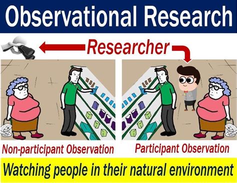 Observational Research Definition And Meaning Market Business News