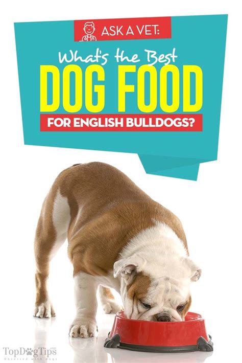 Dog food for english bulldogs comparison: Best Dog Food for English Bulldogs: 6 Vet Recommended ...