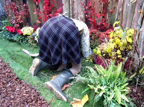 Mehr videos auf www.sat1regional.defür den frühling möchten jetzt viele ihren garten wieder fit machen, doch nicht nur auf dem land, sondern auch in der stad. Die wichtigsten Gartenarbeiten im Frühling