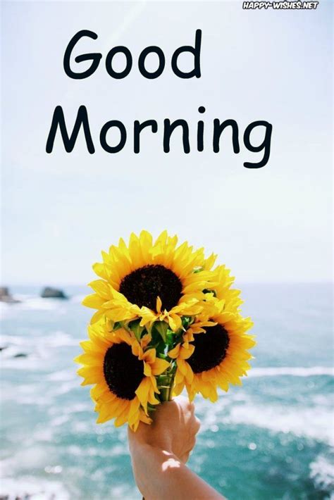 Good Morning Wishes With Sunflower In Background Good Morning Wishes