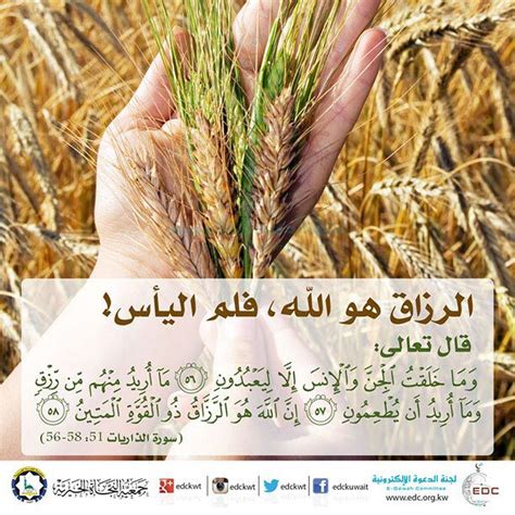 {أيحسب الإنسان أن يترك سدى. بسم الله الرحمن الرحيم وَمَا خَلَقْتُ الْجِنَّ وَالإِنسَ ...