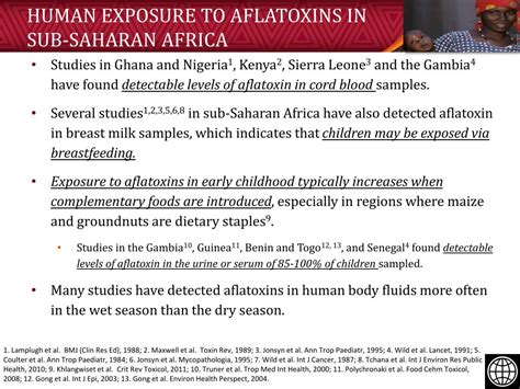 ppt exposure to aflatoxins powerpoint presentation free download id 2143668