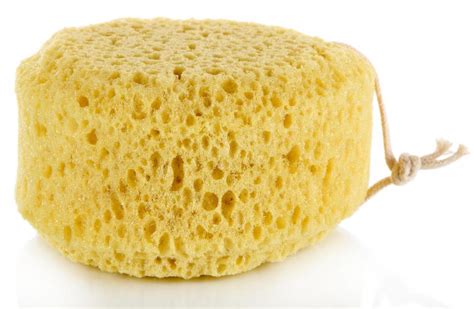 How Do I Choose The Best Exfoliating Sponge With Pictures