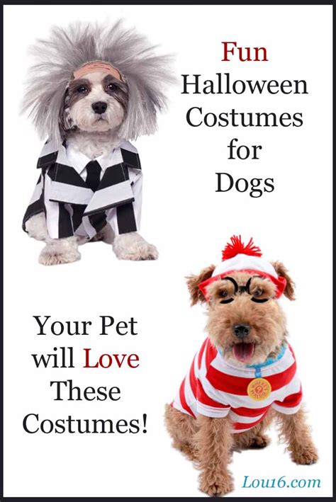 Ready To Wear Halloween Costumes For Your Dog