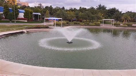 This includes people who suffer from chronic lung diseases, such as emphysema. Increase Oxygen level in your Pond - YouTube
