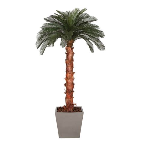 8 Foot Artificial Outdoor Cycas Palm Tree Ribbed Synthetic Trunk 24