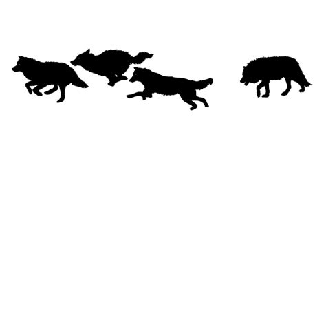 Download Wolf Wall Decals | Wolf Wall Stickers | Wallums