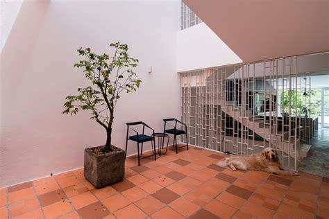 Gallery Of Designing Comfortable And Playful Spaces For Life With A Pet