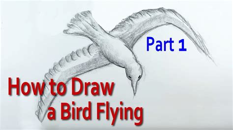 Https://tommynaija.com/draw/how To Draw A Big Bird Flying